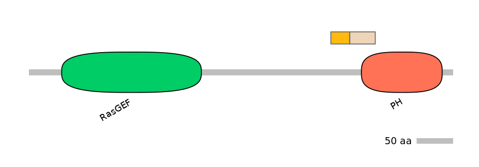 BtaINT0122051-EXC
