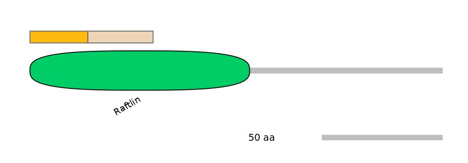 BtaINT0124269-EXC