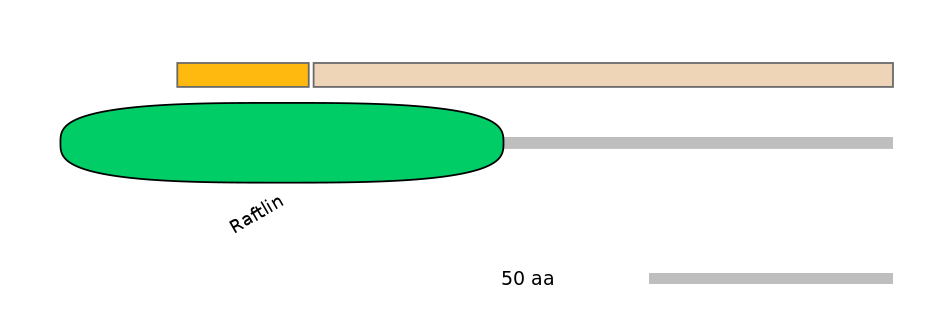 BtaINT0124270-EXC