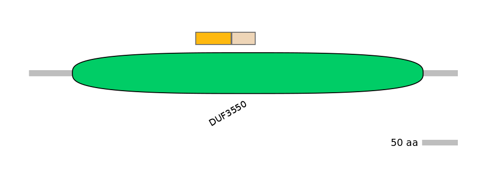 BtaINT0128958-EXC