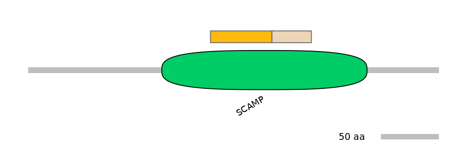 BtaINT0128965-EXC