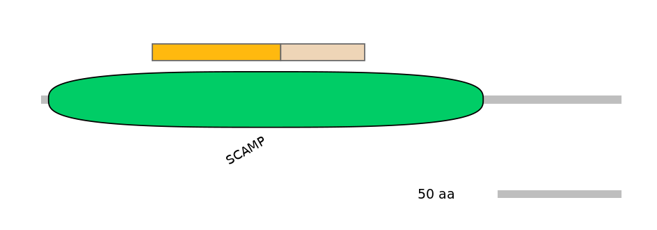 BtaINT0128994-EXC