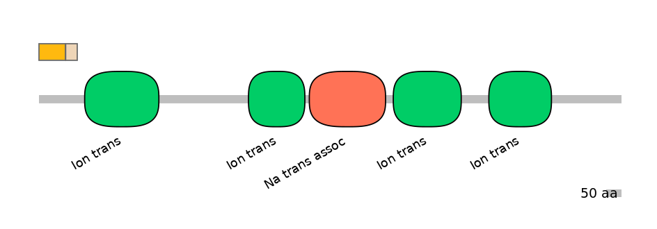 BtaINT0129299-EXC