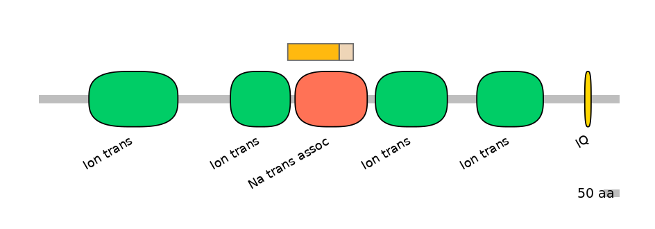 BtaINT0129443-EXC