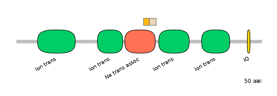 BtaINT0129444-EXC