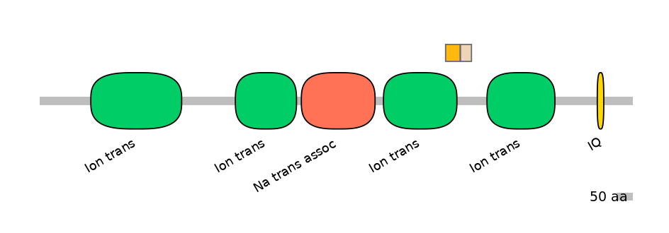 BtaINT0129451-EXC