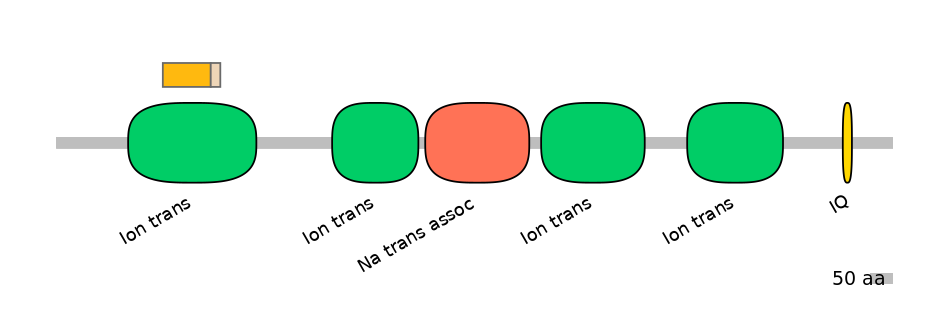 BtaINT0129457-EXC