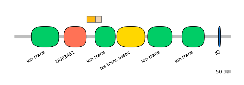 BtaINT0129470-EXC