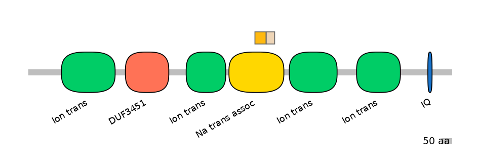 BtaINT0129474-EXC