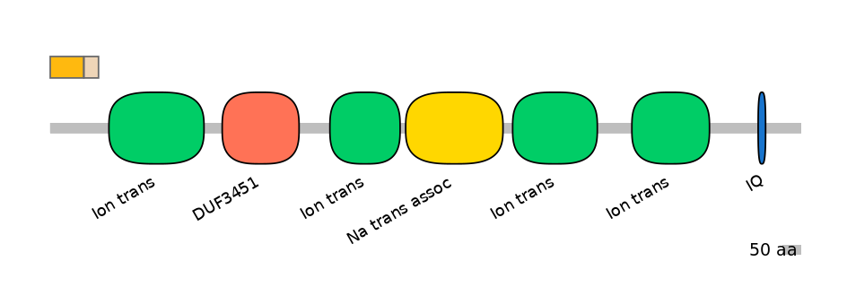 BtaINT0129475-EXC
