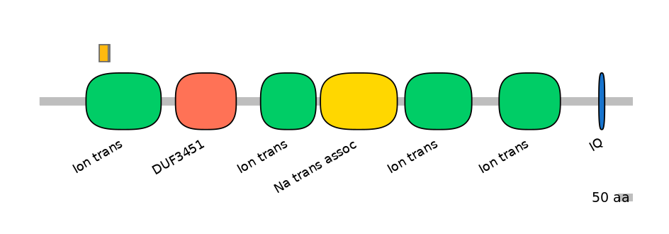 BtaINT0129488-EXC