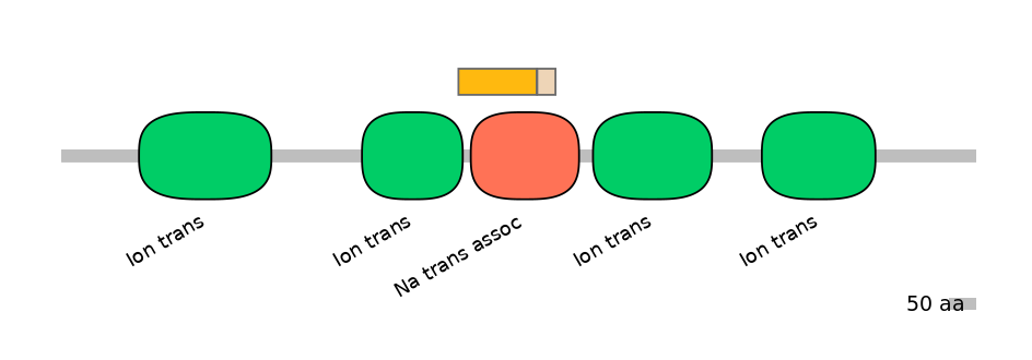 BtaINT0129500-EXC