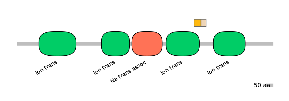 BtaINT0129508-EXC