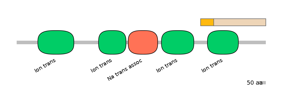 BtaINT0129510-EXC