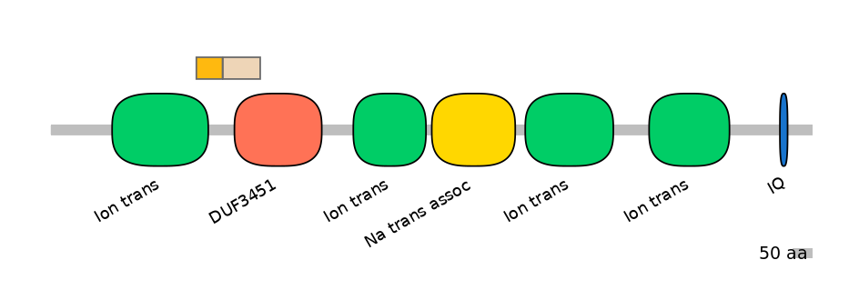 BtaINT0129542-EXC