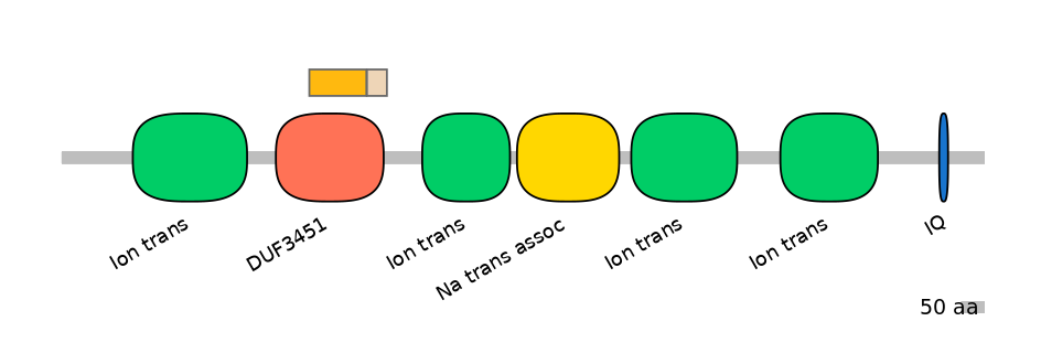 BtaINT0129546-EXC