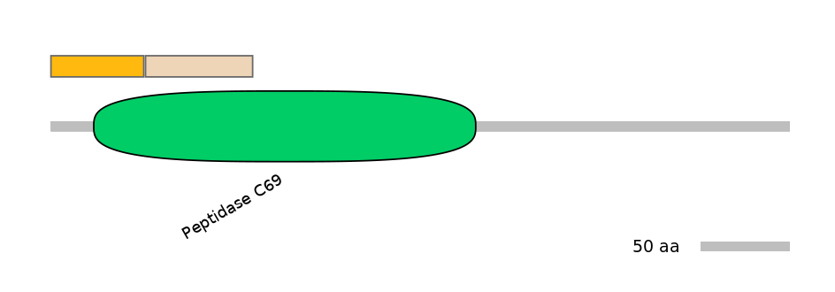 BtaINT0129695-EXC