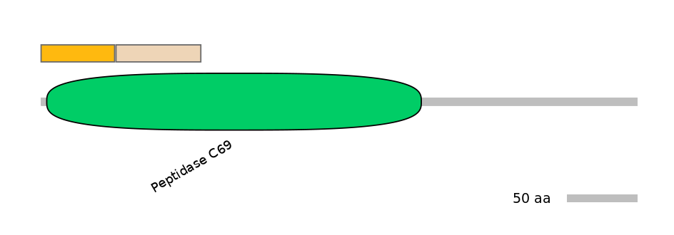 BtaINT0129702-EXC