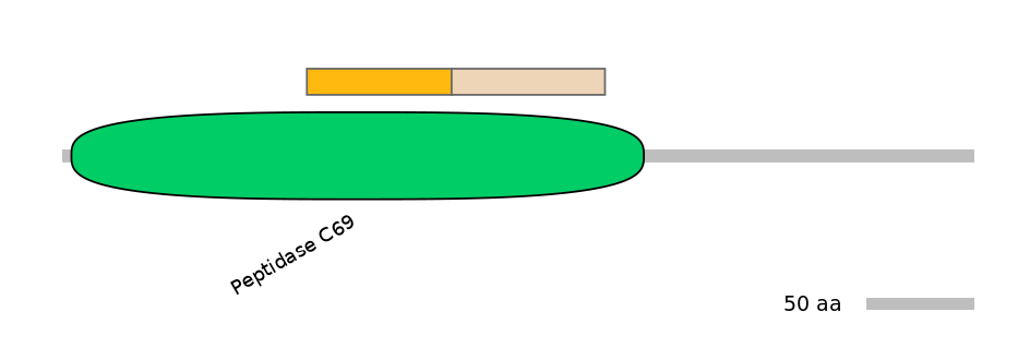 BtaINT0129704-EXC
