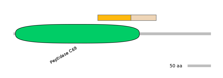BtaINT0129705-EXC