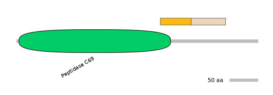 BtaINT0129706-EXC