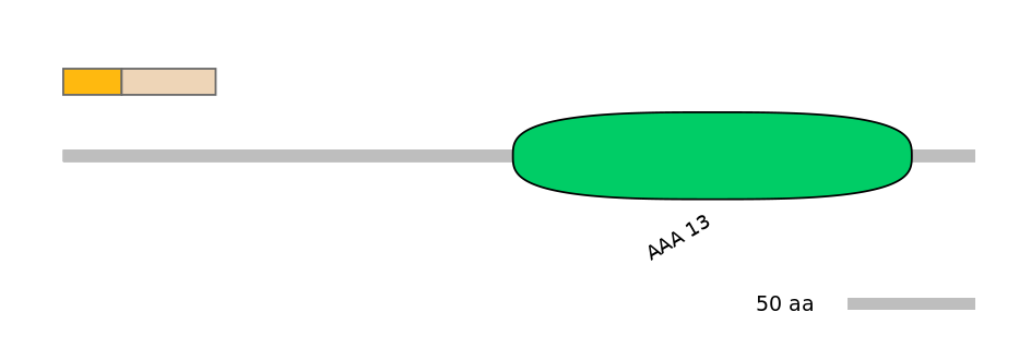 BtaINT0129889-EXC