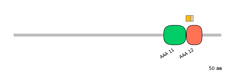 BtaINT0131694-EXC