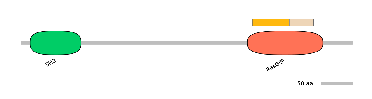 BtaINT0132405-EXC