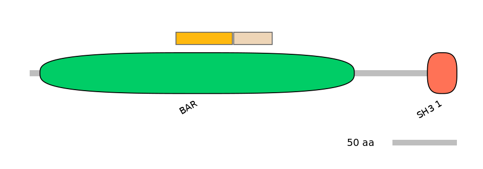 BtaINT0132574-EXC