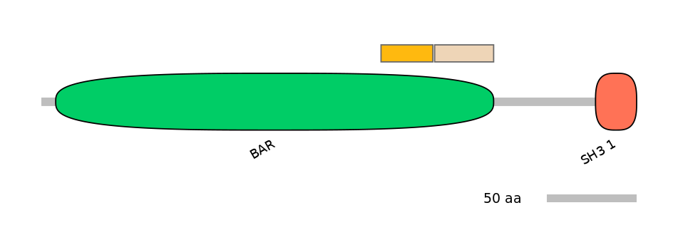 BtaINT0132576-EXC