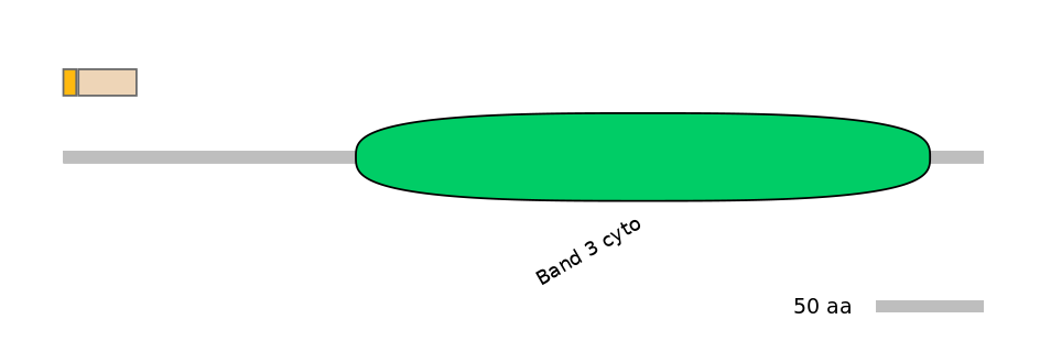 BtaINT0136139-EXC