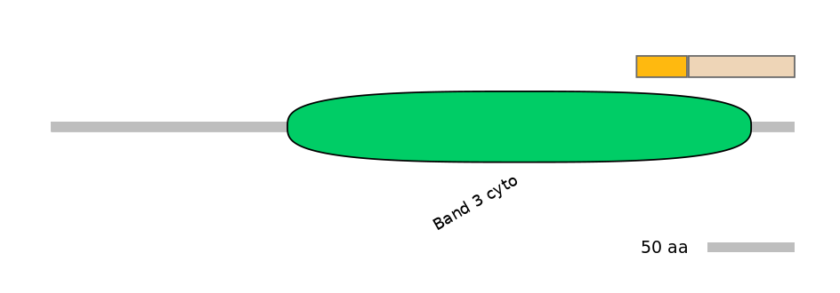BtaINT0136140-EXC