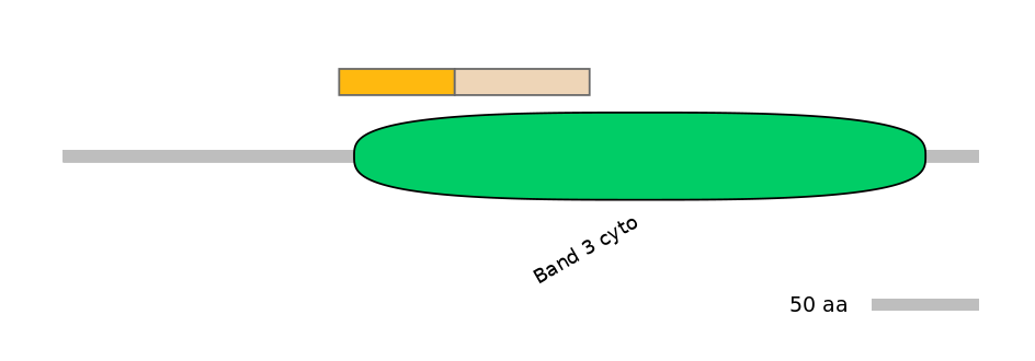 BtaINT0136158-EXC