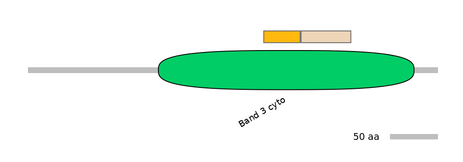 BtaINT0136161-EXC
