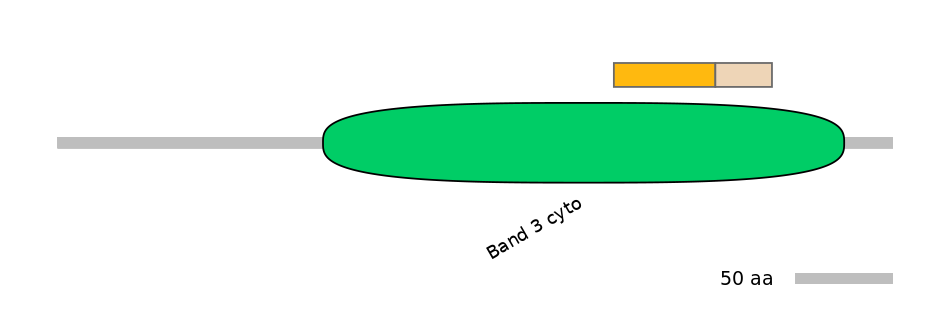BtaINT0136162-EXC