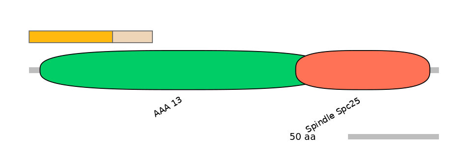 BtaINT0139747-EXC