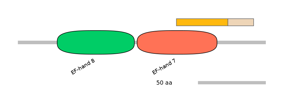BtaINT0140958-EXC