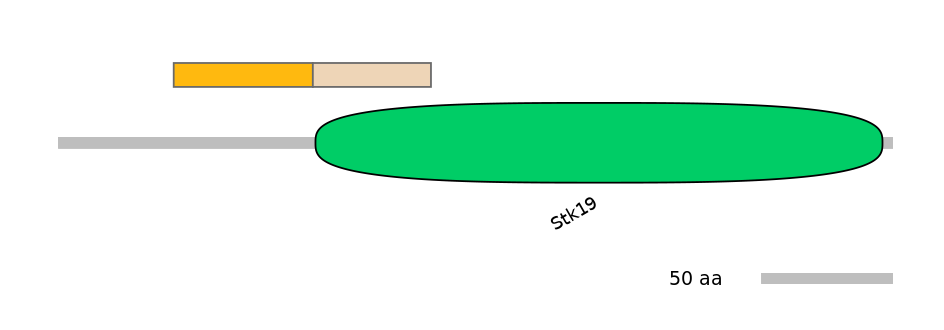 BtaINT0142441-EXC