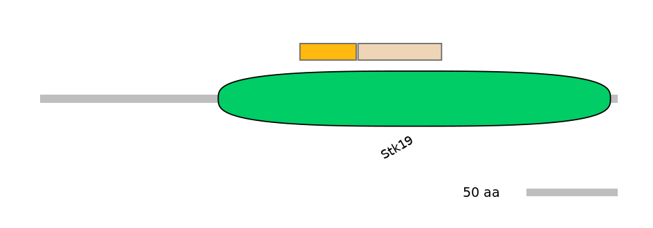 BtaINT0142443-EXC