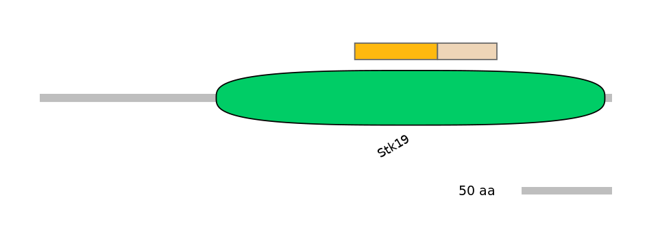 BtaINT0142444-EXC