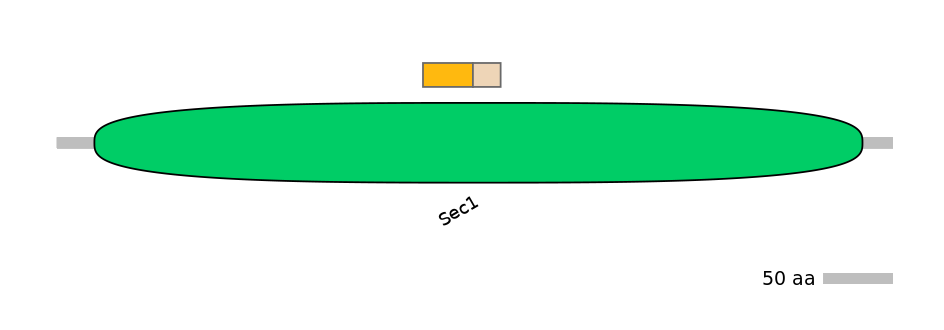 BtaINT0143039-EXC