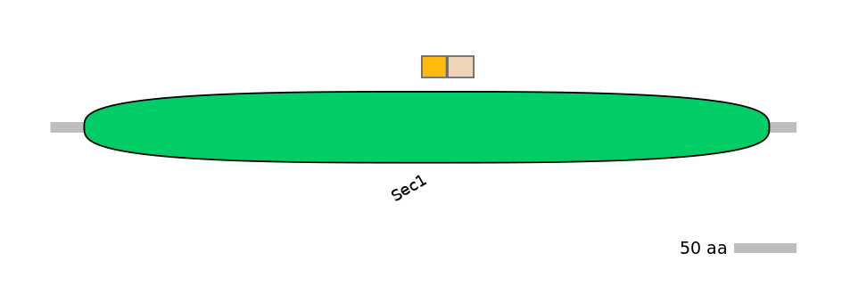 BtaINT0143040-EXC
