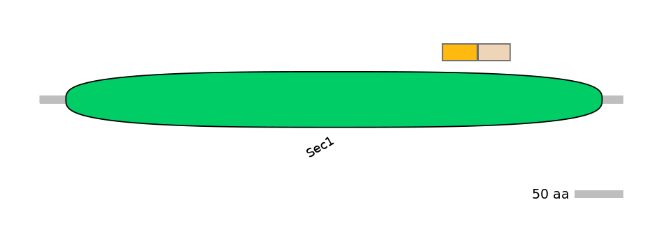 BtaINT0143044-EXC