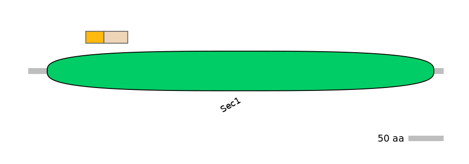 BtaINT0143070-EXC