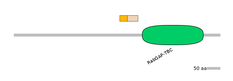 BtaINT0145402-EXC