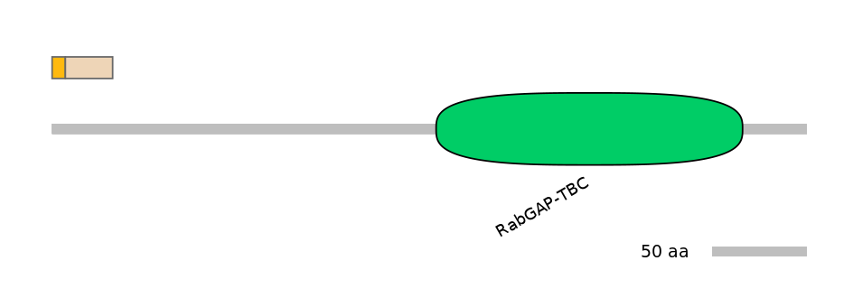 BtaINT0145408-EXC