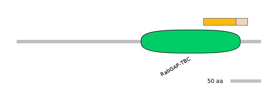 BtaINT0145409-EXC