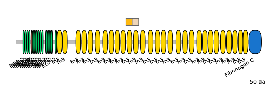 BtaINT0151333-EXC
