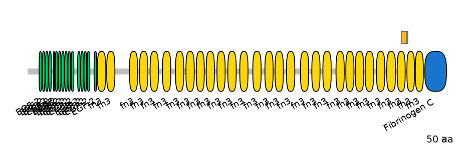 BtaINT0151347-EXC