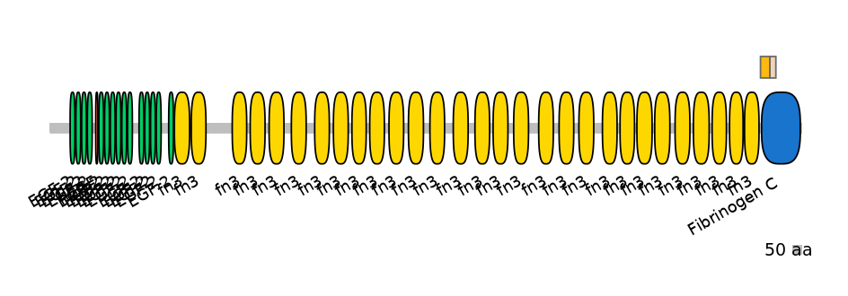 BtaINT0151353-EXC